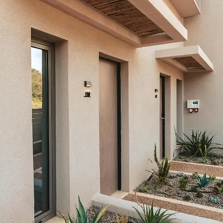 Amoessa Boutique - Adults Only