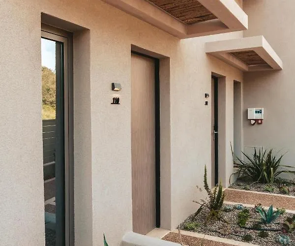 Amoessa Boutique - Adults Only